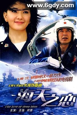 海天之恋(2008)完结已完结迅雷网盘全集下载