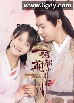 王府软萌小刺客(2023)完结全15集迅雷网盘全集下载