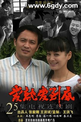 爱就爱到底(2010)完结全30集迅雷网盘全集下载