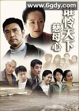 谁怜天下慈母心(2007)完结已完结迅雷网盘全集下载