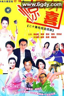 将装修进行到底(2004)完结全20集迅雷网盘全集下载