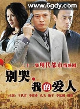 别哭，我的爱人(2010)完结已完结迅雷网盘全集下载