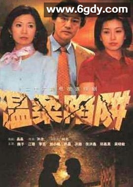 温柔陷阱(2001)完结全26集迅雷网盘全集下载