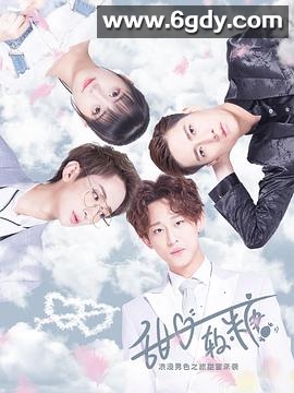 甜心软糖 第二季(2019)完结12集全迅雷网盘全集下载