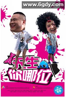 先生，你哪位(2016)完结已完结迅雷网盘全集下载