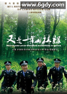 又是一年山林绿(2010)完结已完结迅雷网盘全集下载