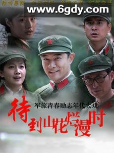 待到山花烂漫时(2014)完结35集全迅雷网盘全集下载