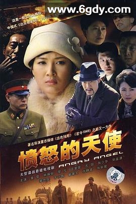愤怒的天使(2009)完结全31集迅雷网盘全集下载