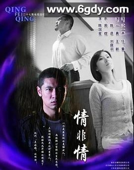 情非情(2009)完结已完结迅雷网盘全集下载