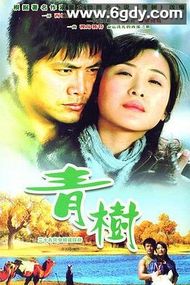 青树(2008)完结已完结迅雷网盘全集下载