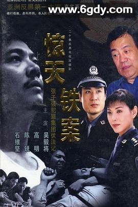 惊天铁案(2001)完结全20集迅雷网盘全集下载