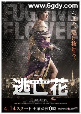 逃亡花(2018)完结更新第12集迅雷网盘全集下载