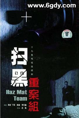 扫黑重案组(2001)完结全20集迅雷网盘全集下载