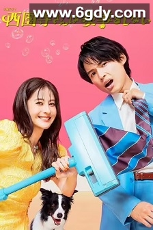 西园寺小姐不做家务(2024)完结11集全迅雷网盘全集下载