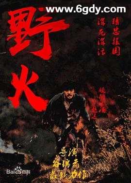 野火2018(2018)完结更新第45集迅雷网盘全集下载