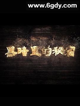 黑暗里的秘密(2019)完结更新第30集迅雷网盘全集下载