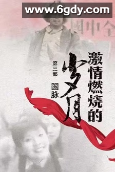 激情燃烧的岁月3(2010)完结25集全迅雷网盘全集下载