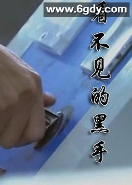 看不见的黑手(2014)完结更新第22集迅雷网盘全集下载