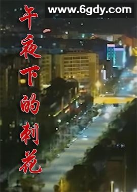 午夜下的刺花(2019)完结更新第10集迅雷网盘全集下载