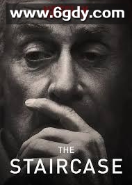 楼梯悬案(2004)完结已完结迅雷网盘全集下载