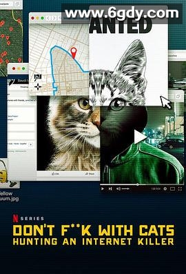 别惹猫咪：追捕虐猫者(2019)完结3集全迅雷网盘全集下载