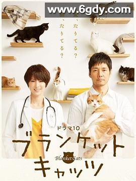 毛毯猫(2017)完结已完结迅雷网盘全集下载