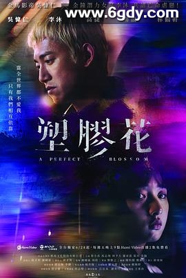 塑胶花(2024)完结10集全迅雷网盘全集下载