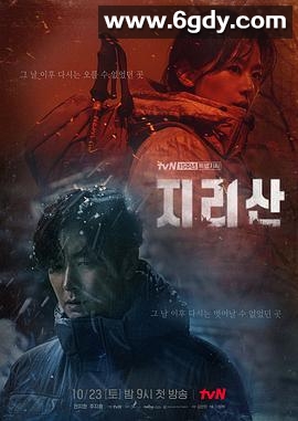 智异山(2021)完结16集全迅雷网盘全集下载