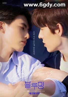 为你绽放(2022)完结11集全迅雷网盘全集下载