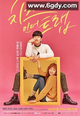 奶酪陷阱(2016)完结16集全迅雷网盘全集下载