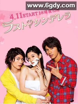 最后的灰姑娘(2013)完结已完结迅雷网盘全集下载