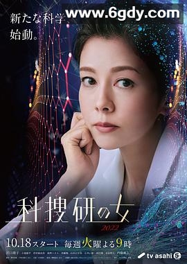 科搜研之女2022(2022)完结已完结迅雷网盘全集下载
