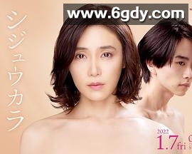 40岁开始(2022)完结已完结迅雷网盘全集下载