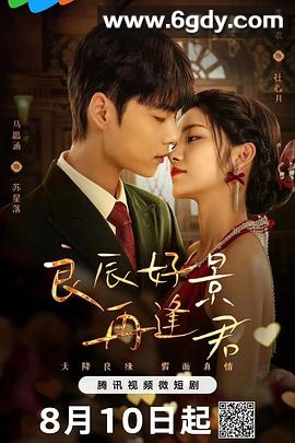 良辰好景再逢君(2024)完结23集全迅雷网盘全集下载