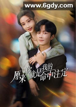 原来你就是我的命中注定(2024)完结24集全迅雷网盘全集下载