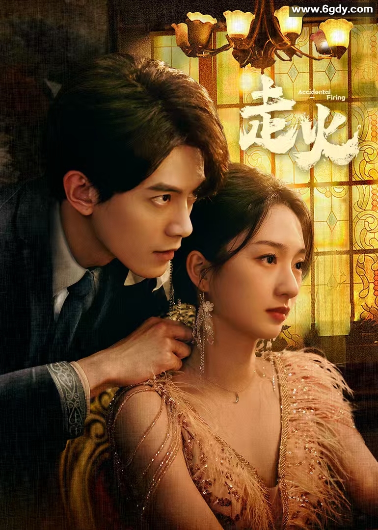 走火(2025)完结24集全迅雷网盘全集下载