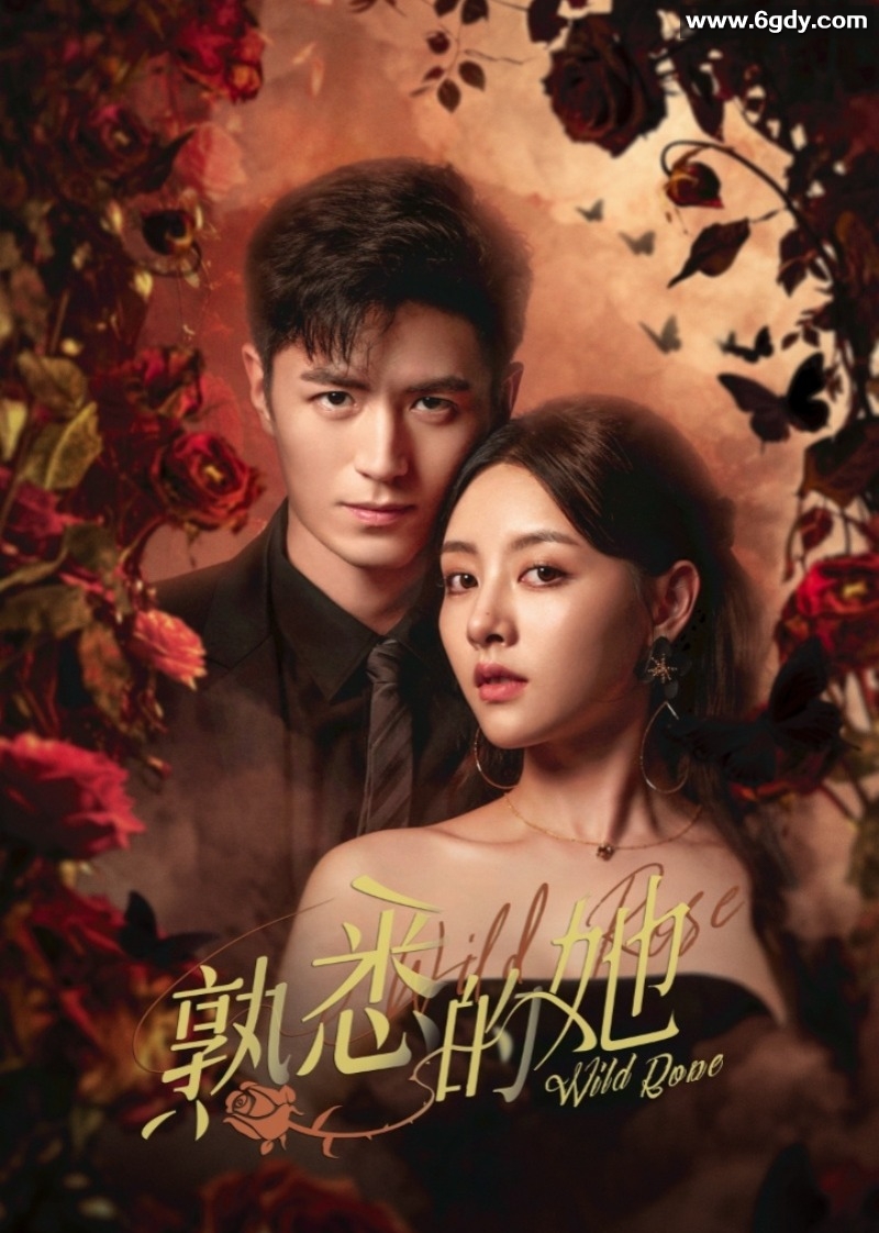 熟悉的她(2025)完结24集全迅雷网盘全集下载