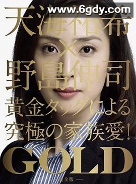 金牌女王(2010)完结11集全迅雷网盘全集下载