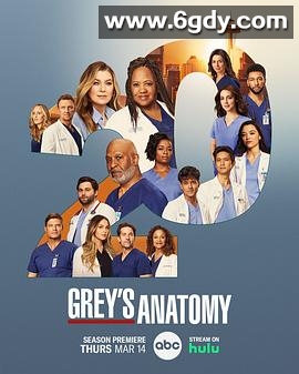 实习医生格蕾 第二十季(2024)完结10集全迅雷网盘全集下载