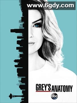 实习医生格蕾 第十三季(2016)完结24集全迅雷网盘全集下载