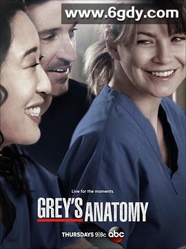 实习医生格蕾 第十季(2013)完结24集全迅雷网盘全集下载