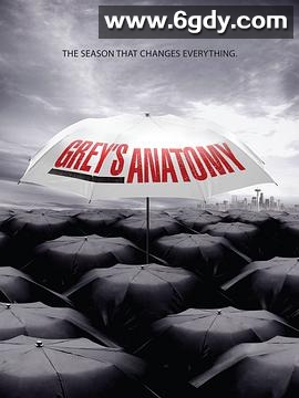 实习医生格蕾 第六季(2009)完结全24集迅雷网盘全集下载