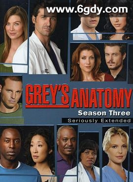 实习医生格蕾 第三季(2006)完结25集全迅雷网盘全集下载