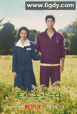 苦尽柑来遇见你(2025)完结16集全迅雷网盘全集下载