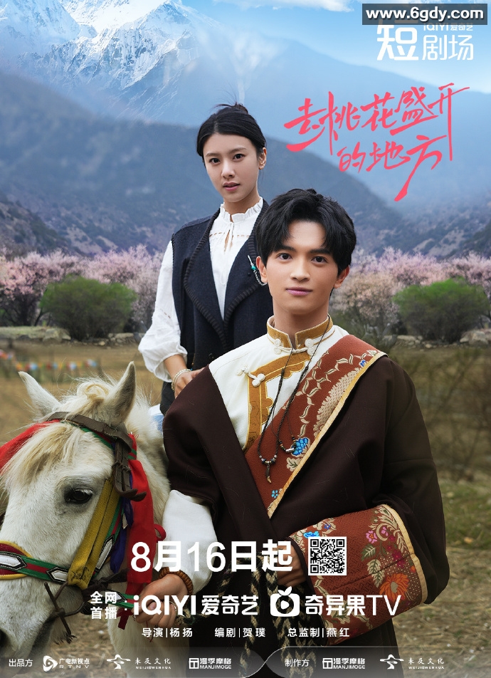 去桃花盛开的地方(2025)完结12集全迅雷网盘全集下载