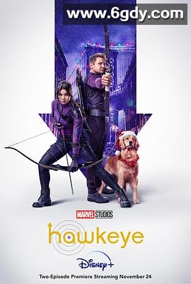 鹰眼(2021)完结6集全迅雷网盘全集下载