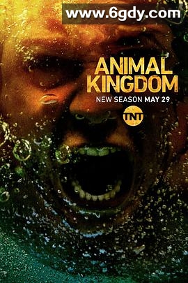 野兽家族 第三季(2018)完结13集全迅雷网盘全集下载