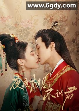 夜夜相见不识君(2023)完结24集全迅雷网盘全集下载