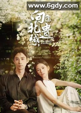 向北的遗憾(2024)完结20集全迅雷网盘全集下载