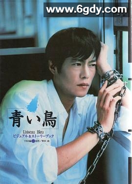 青鸟1997(1997)完结已完结迅雷网盘全集下载